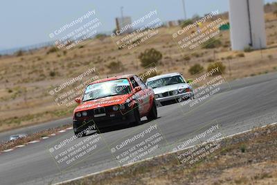 media/May-03-2025-Lucky Dog Racing (Sat) [[206de64b9d]]/Turn 6 (150pm-230pm)/